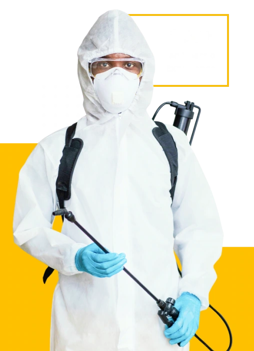 Best Pest Control Service Near Me Hero