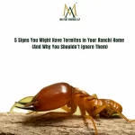 We at ma pest control llp use the latest upim technology to prevent & preserve our heritage. (9) Ma pest control logo Best Pest Control Services in Kolkata | Kasba | Rodent | Termites | pest control service near you