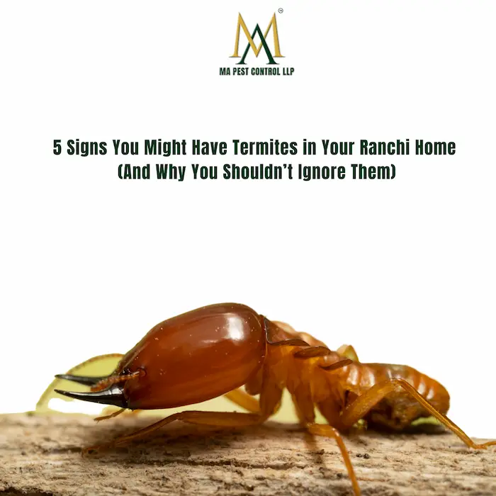 We at ma pest control llp use the latest upim technology to prevent & preserve our heritage. (9) Ma pest control logo Best Pest Control Services in Kolkata | Kasba | Rodent | Termites | pest control service near you