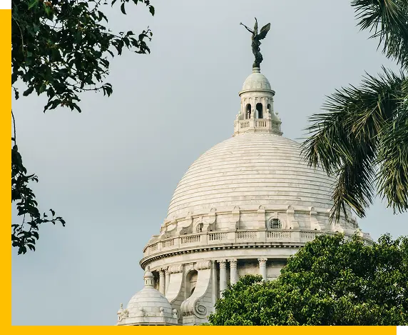 Pest Control in Kolkata