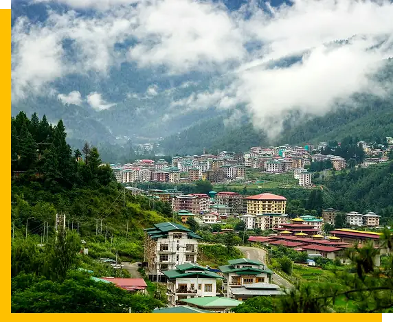 Ma pest control bhutan branch | Best pest ZControl service in Bhutan | Pest control in Bhutan | pest control service in Bhutan