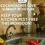 How to keep cockroaches out of your home during the humid summer months