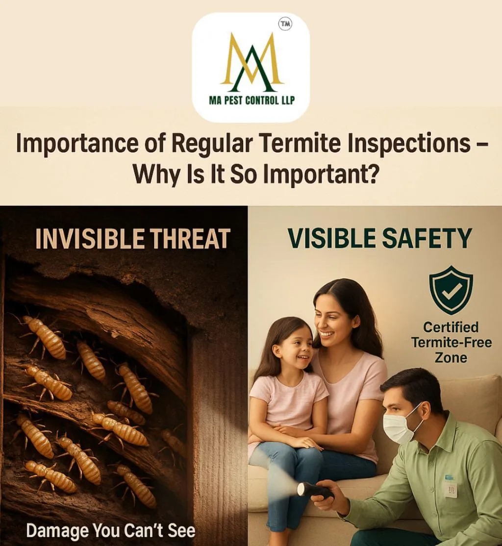 Importance of Regular Termite Inspections – Why Is It So Important?