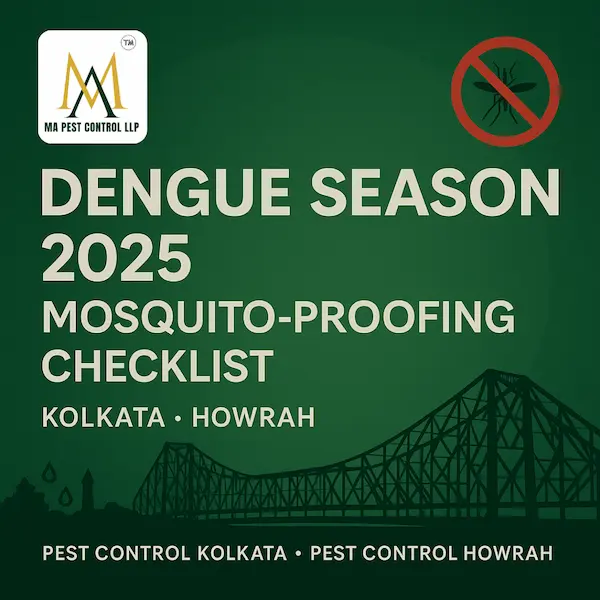 Dengue Season 2025: Kolkata Homeowner’s Mosquito-Proofing Checklist