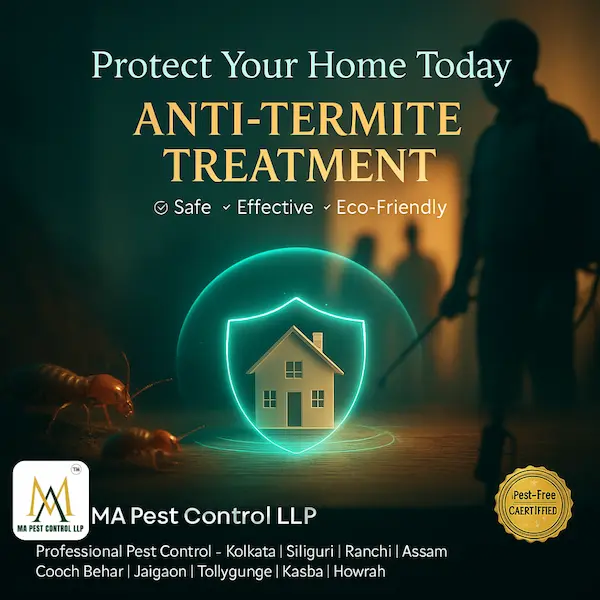 Say Goodbye to Termites with Professional Anti Termite Treatment