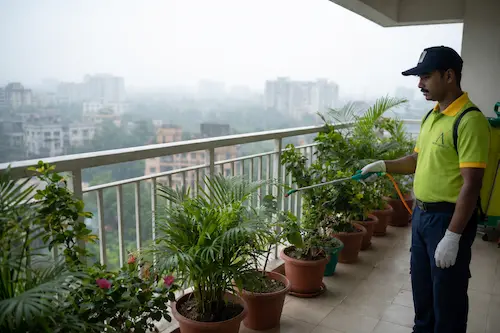 Best Pest Control Practices for Homes in Kolkata’s Humid Climate