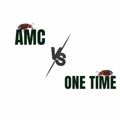 AMC vs One-Time Treatment: Which is Better for Bed Bug Control in Commercial Properties?