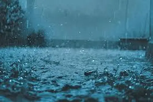 Defeatingthe Damp:Monsoon Pest Prevention