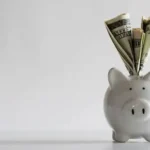 save money pest control service