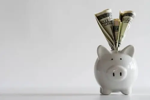 The ROI of Pest Control: Why Spending ₹5,000 Today Can Save You ₹5 Lakh Tomorrow