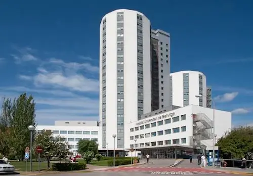 Why Hospitals Fear Cockroaches More Than You Think: The Critical Role of Pest Control Services in Hospitals