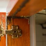 Traces,Of,Termites,Eat,Wood,,Timber,Beam,Of,Door,Damaged